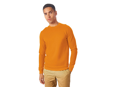 Свитшот Motion с начесом, унисекс