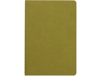 Бизнес тетрадь А5 Pragmatic