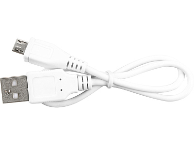 Портативное зарядное устройство Austin, 4000 mAh