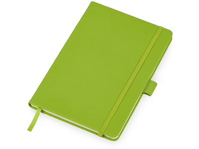 Блокнот А6 в твердой обложке Vision 2.0 soft-touch (Зеленое яблоко)