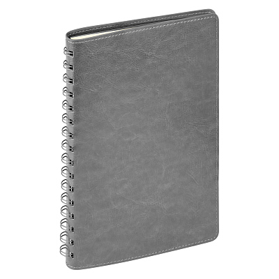 Ежедневник Vista Neo недатированный, серый