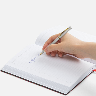 Ручка шариковая Euro Gold, серая