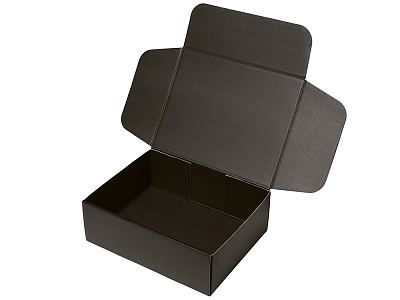 Коробка подарочная Raven, XL