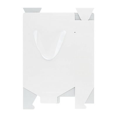 Подарочная коробка-пакет универсальная большая, белая