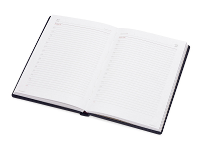 Ежедневник недатированный А5 Velvet