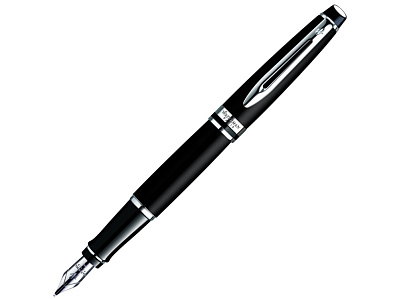 Ручка перьевая Expert, F (Черный матовый, серебристый)