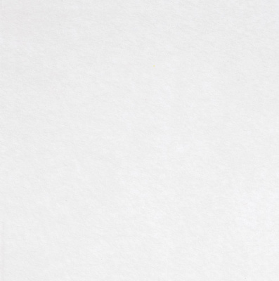 Заготовка из фетра Felt 600, белая (Белый)