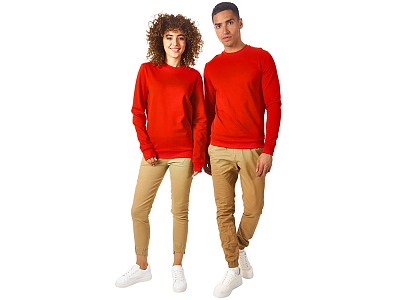 Свитшот Motion с начесом, унисекс