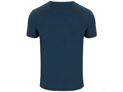 Футболка Terrier мужская