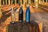 Герметичная бутылка для воды с крышкой из нержавеющей стали - Фото 5