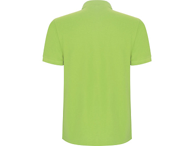 Рубашка поло Pegaso мужская