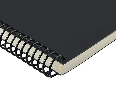 Ежедневник недатированный А5 Agenda