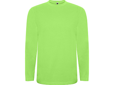 Футболка c длинным рукавом Extreme детская (Зеленое яблоко)