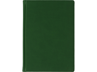 Ежедневник недатированный А5 Velvet