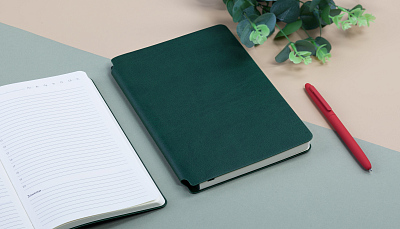 Ежедневник недатированный "Альба", формат А5, гибкая обложка, зеленый