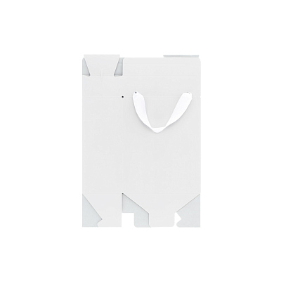 Подарочная коробка-пакет универсальная малая, белая