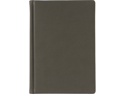 Ежедневник недатированный А5 Velvet