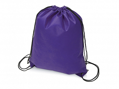 Рюкзак-мешок Пилигрим (Фиолетовый/черный)
