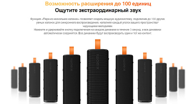 Портативная колонка Xiaomi Sound Outdoor 30W, черный
