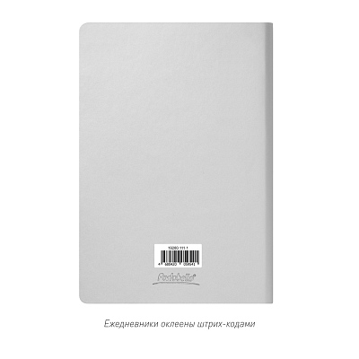 Ежедневник Spark недатированный, серебряный (без упаковки, без стикера)