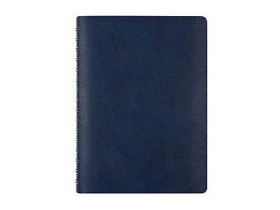 Ежедневник полудатированный А5 Orbit