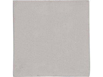 Подарочный набор Вырасти Бонсай дома. Годжи