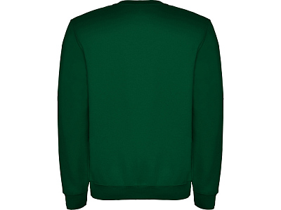 Свитшот с начесом Clasica унисекс