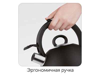 Чайник со свистком ANESA, 2,9 л