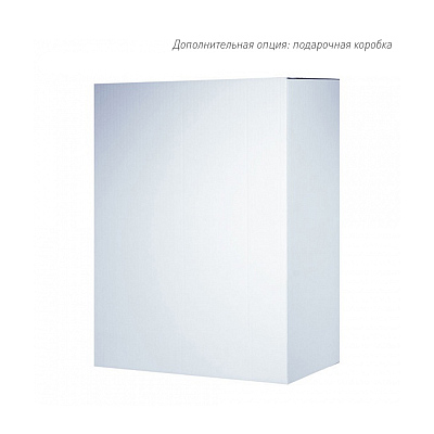 Бизнес рюкзак Taller  с USB разъемом, черный