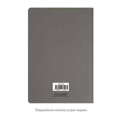 Ежедневник Star недатированный, серый (с упаковкой, со стикерами)