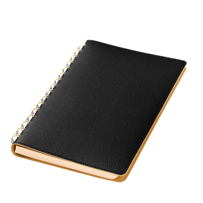 Ежедневник Vista недатированный, черный/бежевый