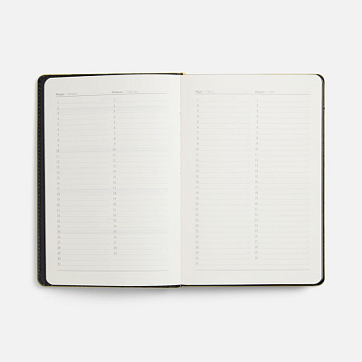 Ежедневник Alanis, недатированный, черный с желтым