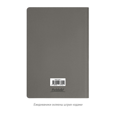 Ежедневник Star недатированный, серый (без упаковки, без стикера)