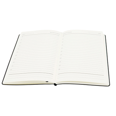 Ежедневник A5 недатированный Equator в мягком переплёте, чёрный с серебристым