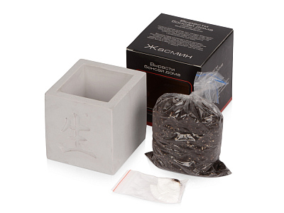 Подарочный набор Вырасти Бонсай дома. Жасмин