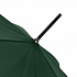 Зонт-трость Dublin, зеленый - Фото 2