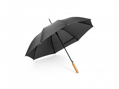 Зонт-трость APOLO (Черный)
