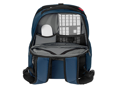 Рюкзак XE Professional с отделением для ноутбука 15.6