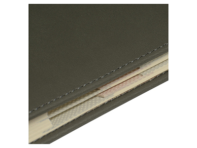 Ежедневник недатированный А5 Velvet Index с индексами