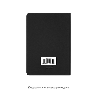 Ежедневник Спарк мини (Spark mini) A6 недатированный, черный