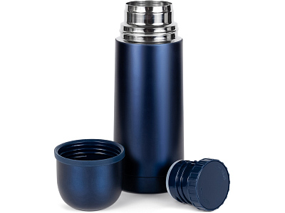 Термос Relaxika 101, 350 мл