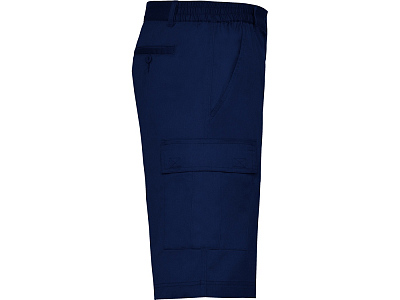 Шорты Armour, мужские