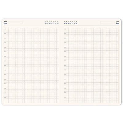 Ежедневник недатированный Ray, формат А5, в клетку