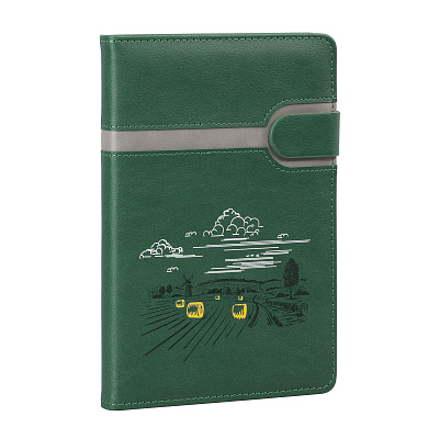Ежедневник недатированный "Бари_Поле", формат А5, зеленый с серым