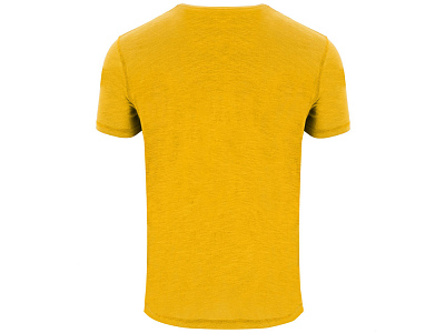 Футболка Terrier мужская