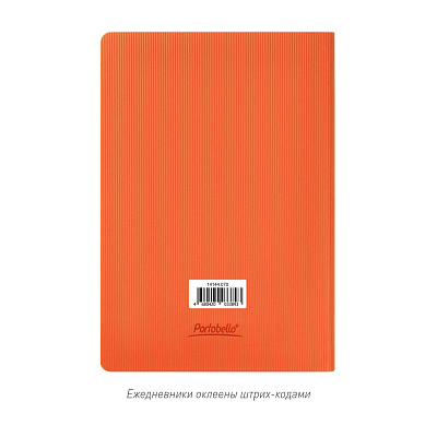 Ежедневник Рейн (Rain) недатированный, оранжевый