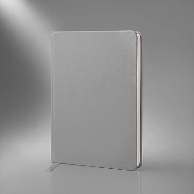 Бизнес-блокнот А5 C2 soft-touch (Серый)