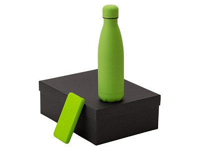 Подарочный набор COLOR IT с термобутылкой и повербанком (Зеленое яблоко)