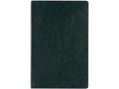 Ежедневник недатированный А5 Megapolis Nebraska Flex