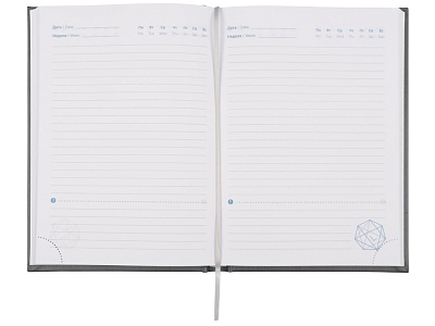 Ежедневник недатированный А5 Probe AR